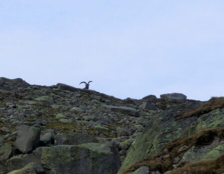 wta_2535_WhatsApp Image 2024-08-17 at 21.58.16 (3)