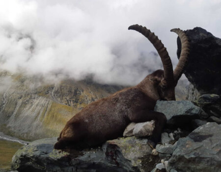 wta_2535_WhatsApp Image 2024-08-17 at 21.58.16 (4)