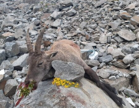 wta_2535_WhatsApp Image 2024-08-17 at 21.58.16 (5)