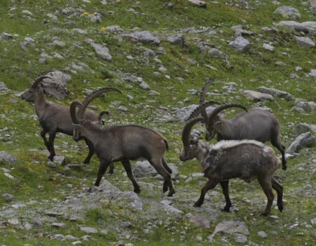 wta_2535_WhatsApp Image 2024-08-20 at 12.01.59