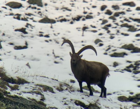 wta_2535_WhatsApp Image 2024-08-20 at 12.38.37