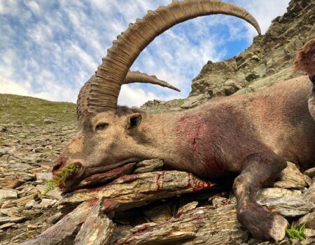 wta_2535_WhatsApp Image 2024-08-20 at 12.39.55