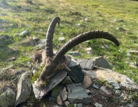 wta_2535_WhatsApp Image 2024-08-20 at 12.58.13 (1)