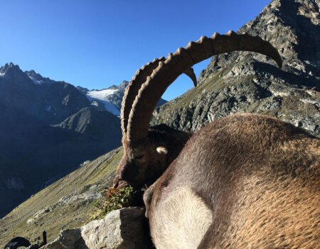 wta_2535_WhatsApp Image 2024-08-20 at 12.58.13