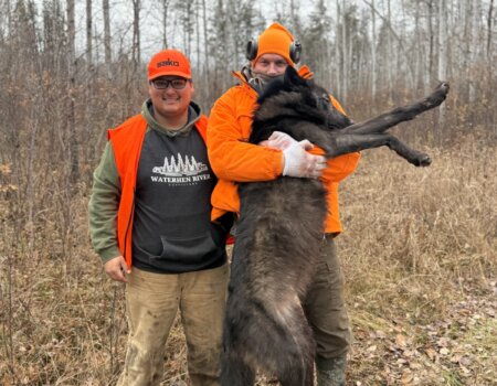 wta_2538_c9ba9620-9220-404b-a929-50a672da8473