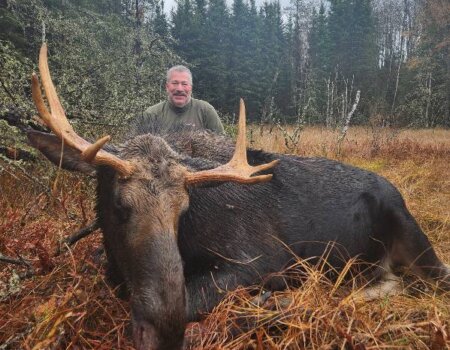 wta_2538_image000005