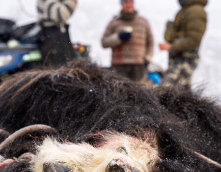 wta_2720_2026.03.07.142744-Greenland-DS100144-EDIT
