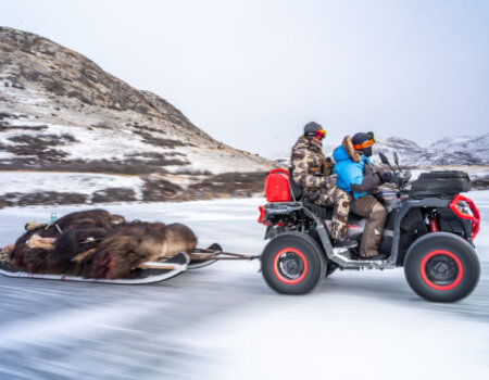 wta_2720_2026.03.07.155348-Greenland-DS100208-EDIT