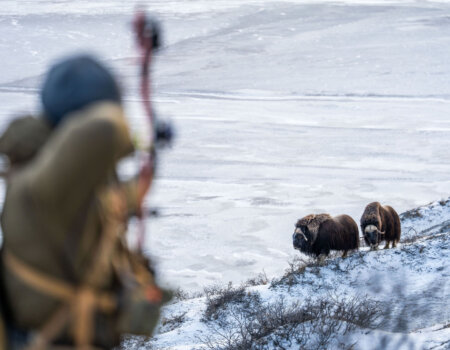 wta_2720_2026.03.09.174426-Greenland-DS200064-EDIT