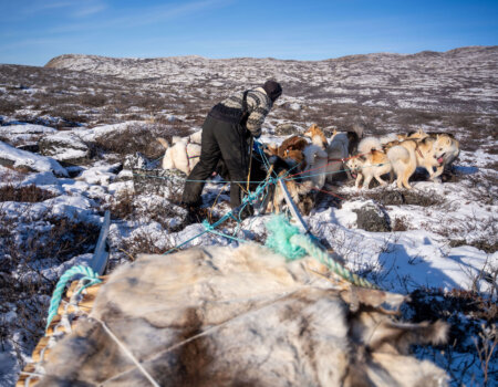 wta_2720_2026.03.10.130208-Greenland-DS101284-EDIT
