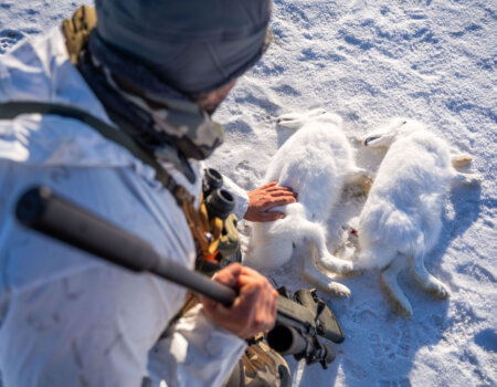 wta_2720_2026.03.11.163356-Greenland-DS101588-EDIT