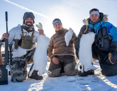 wta_2720_2026.03.11.164503-Greenland-DS101632-EDIT