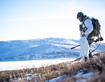wta_2720_2026.03.11.165331-Greenland-DS101692-EDIT
