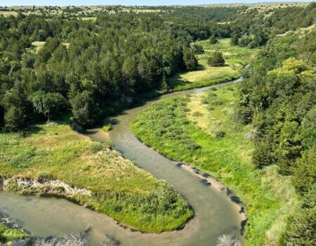 wta_2544_wta_2491_IMG_7756-scaled