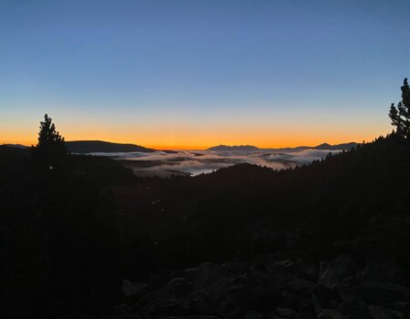 wta_2547_WhatsApp Image 2024-09-13 at 18.08.18 (1)