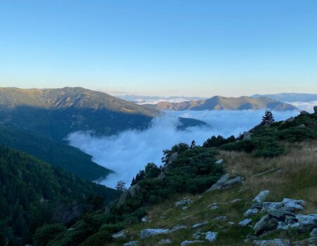 wta_2547_WhatsApp Image 2024-09-13 at 18.08.18 (2)