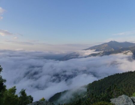 wta_2547_WhatsApp Image 2024-09-13 at 18.08.18 (3)