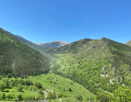 wta_2547_WhatsApp Image 2024-09-13 at 18.08.18 (4)