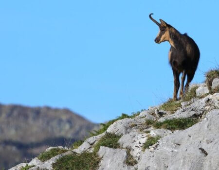 wta_2547_WhatsApp Image 2024-09-13 at 18.08.18