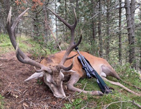 wta_2547_WhatsApp Image 2024-09-13 at 18.09.00 (4)