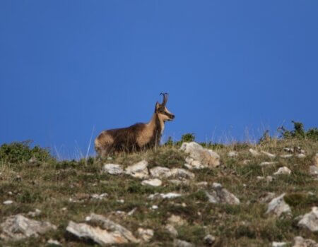 wta_2547_WhatsApp Image 2024-09-13 at 18.09.00 (5)