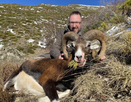 wta_2547_WhatsApp Image 2024-09-13 at 18.09.00 (6)