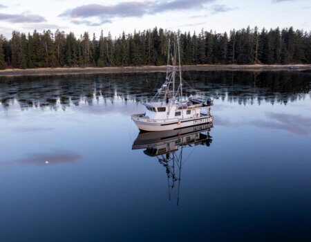 wta_2548_Sally Aerial