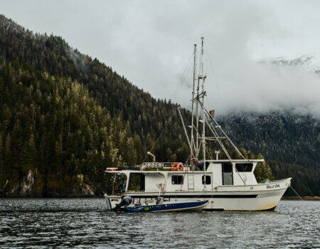 wta_2548_Sally Girl and Tender