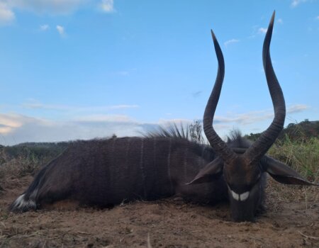 wta_2550_IMG-20240624-WA0005