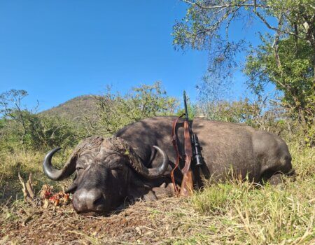 wta_2550_IMG-20240624-WA0007