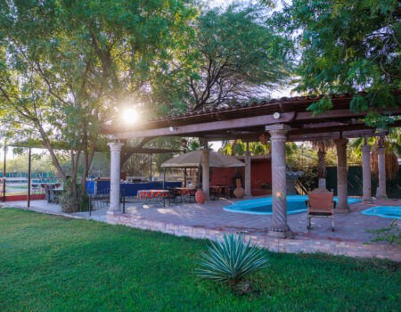 wta_2552_2338_Mexico quail dove_SOA_Photos_DusanSmetana_small_Select_-157