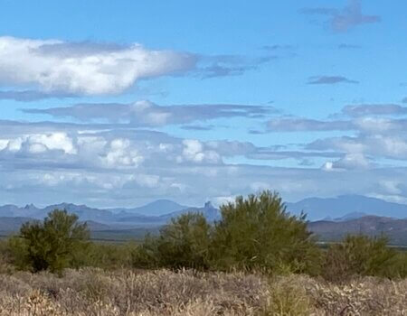 wta_2552_Photo 11 Sonoran landscape