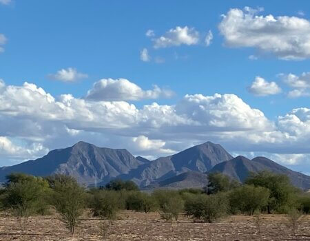 wta_2552_Photo 5 Sonoran landscape (2)