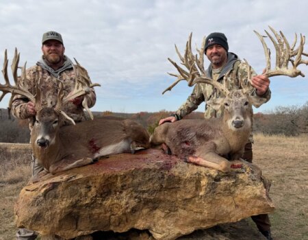 wta_2558_IMG_8741 (1)