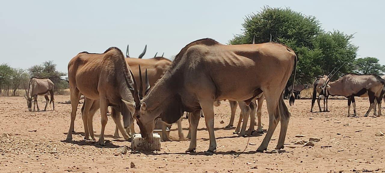 wta_2561_0229142a-84ce-438a-b01a-838f0b64b81e