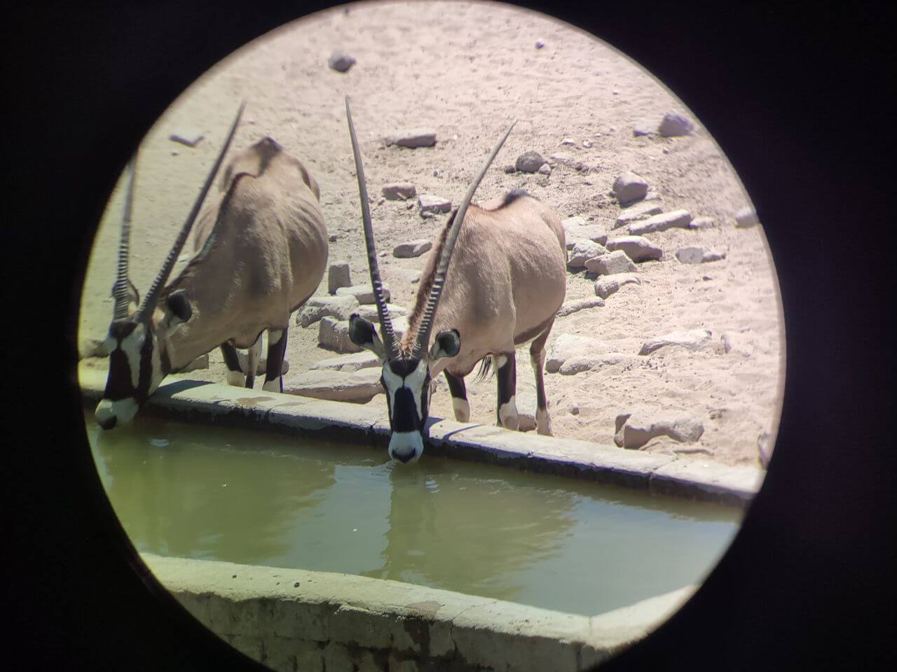 wta_2561_188fb9bd-05ac-41b5-84c6-61df8c632d33