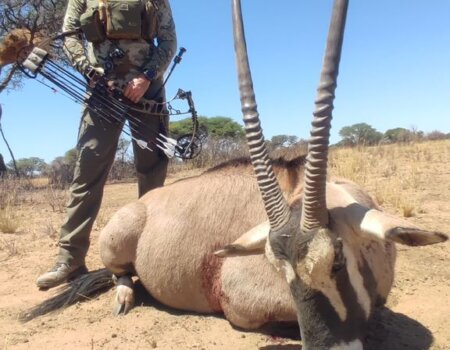 wta_2561_81da86bf-e7ba-421b-abe7-3f1c9cdfd0ea