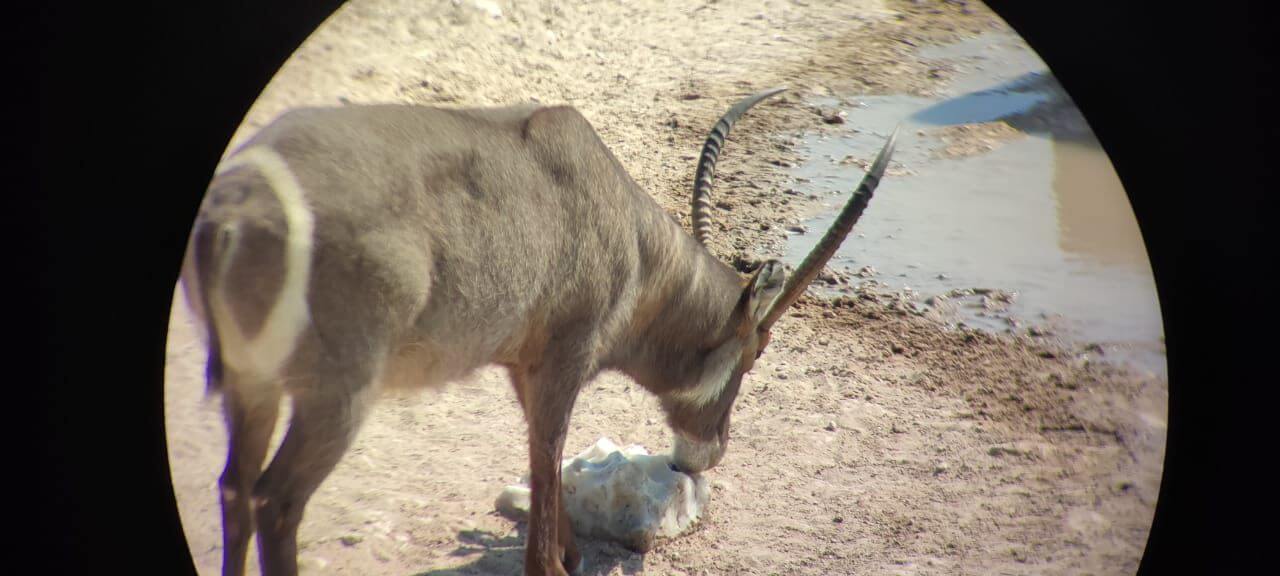 wta_2561_92e11ab9-b532-4d91-9110-21c31d5faa63