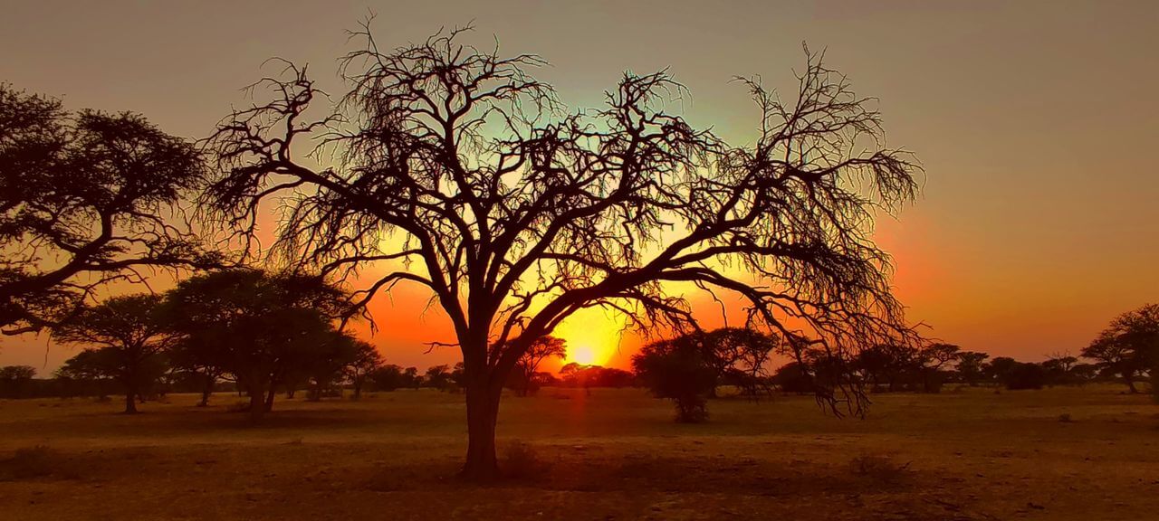 wta_2561_b87c2f18-12ac-4f3e-b69e-eba2dbdee6dd