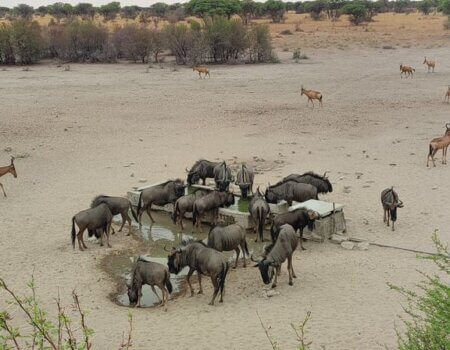 wta_2561_bf74022e-a4c4-48b6-8a76-777872484c31