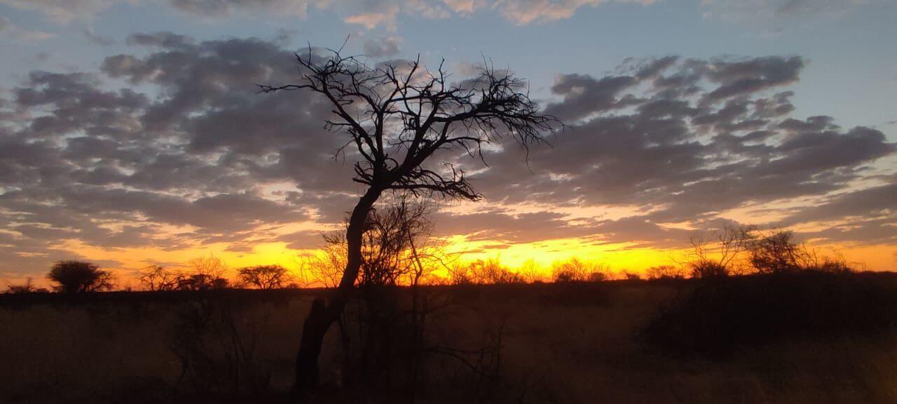 wta_2561_d0fad6c9-ec8c-4c9e-ab33-eecbc64652f0