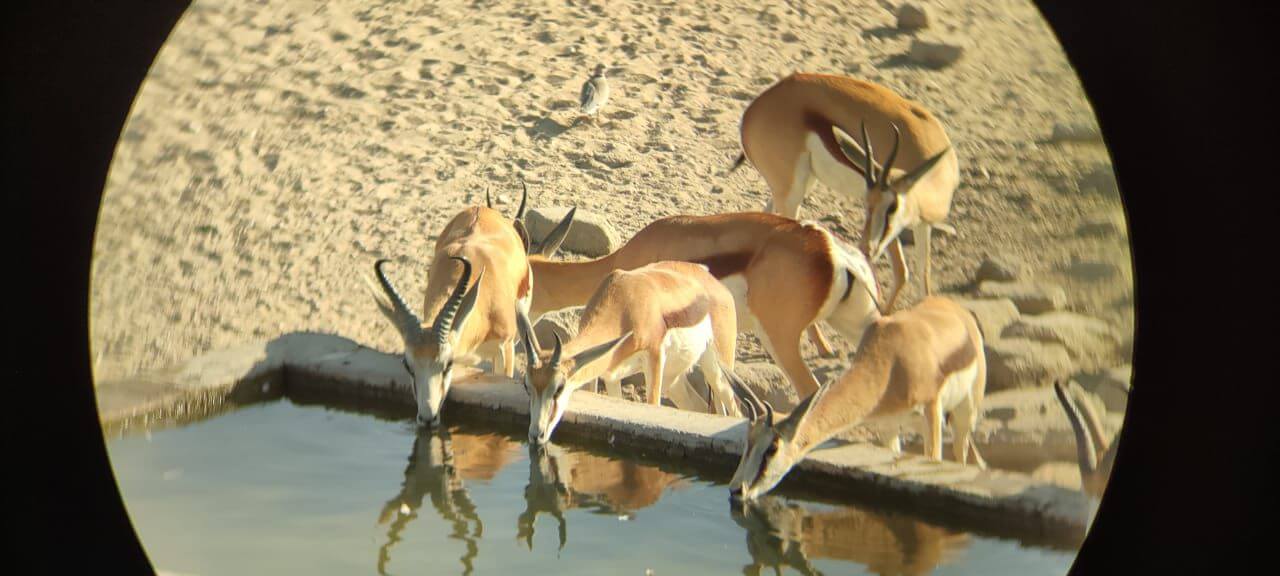 wta_2561_d7127b6c-a914-4fe7-b726-0ee0f9e30811