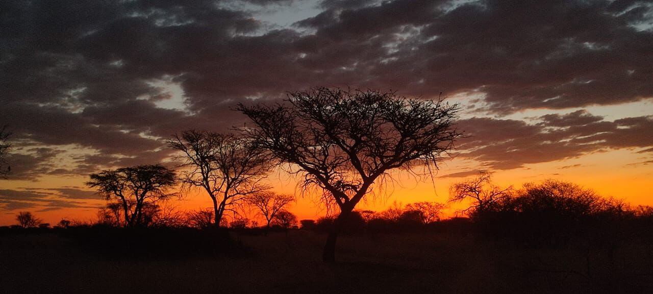 wta_2561_ed12154f-e6c0-4702-94a3-9a444c526f24