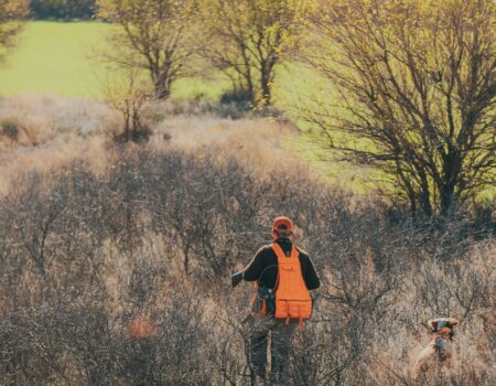 wta_2563_Chasing Quail