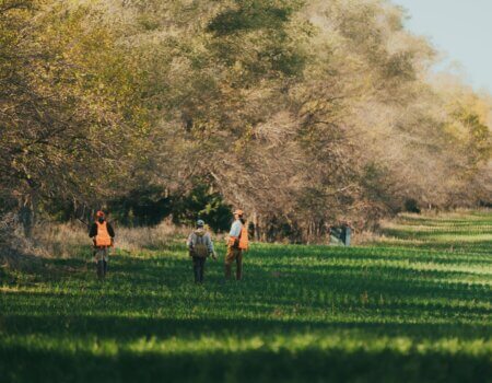 wta_2563_Tree Rows
