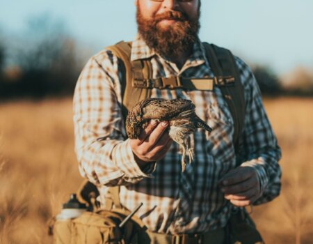 wta_2563_Wild Quail