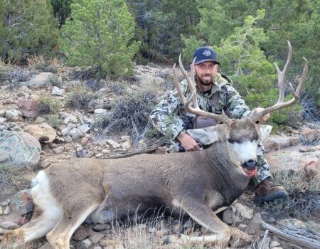 wta_2576_1851313951580861908