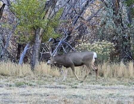 wta_2576_2254527462284299400