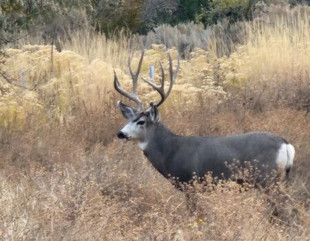 wta_2576_4581820270761013410