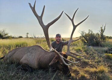 Hunt Arizona Elk and Antelope: Maximize Your Chances with WTA TAGS